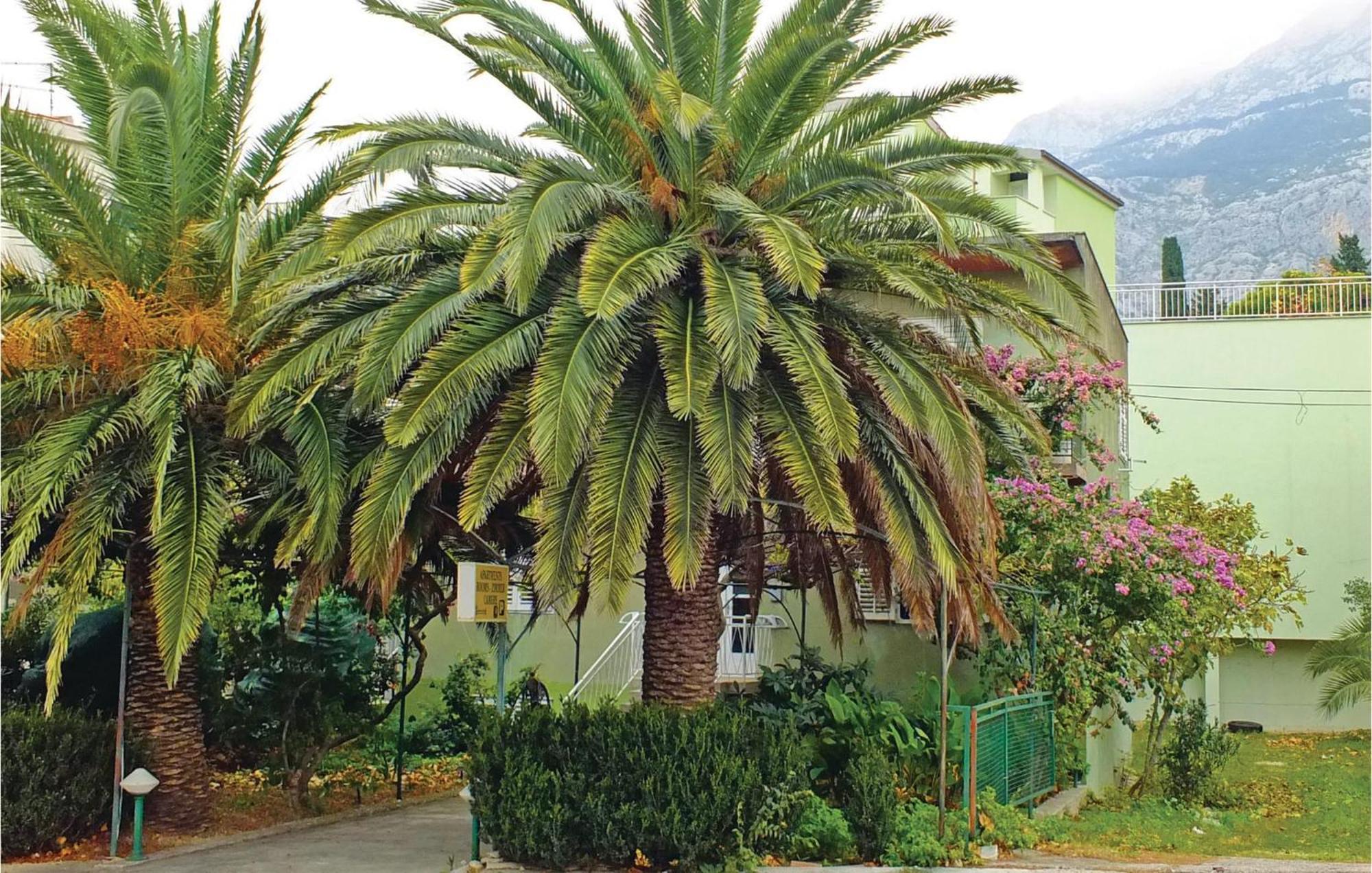 Lovely Apartment In Makarska With Wifi Екстериор снимка